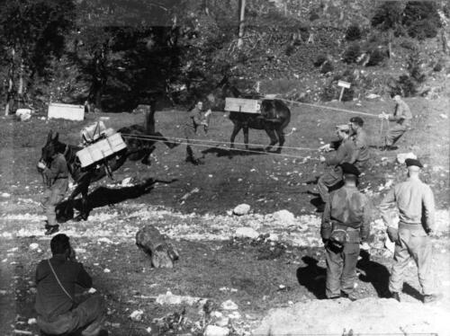 10th SFG Bad Tolz 017