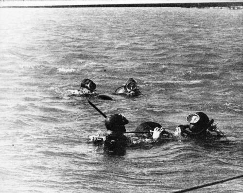 10th SFG Bad Tolz 482