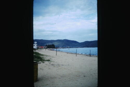 My beautiful picture