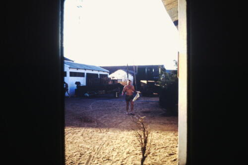 My beautiful picture