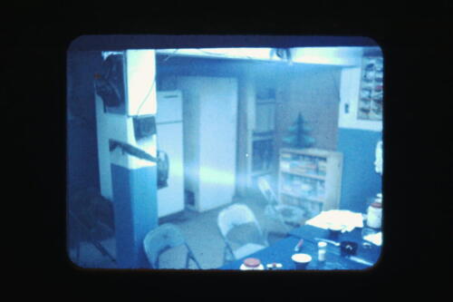 My beautiful picture