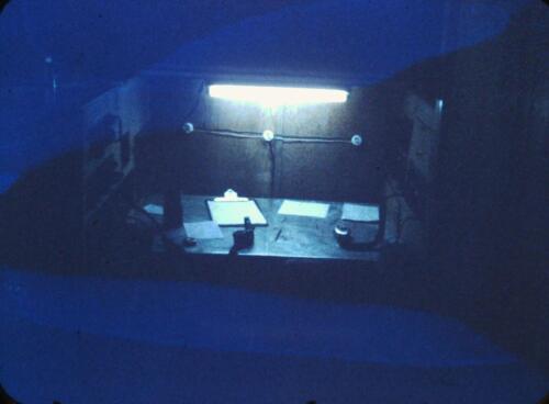 My beautiful picture