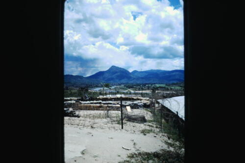 My beautiful picture