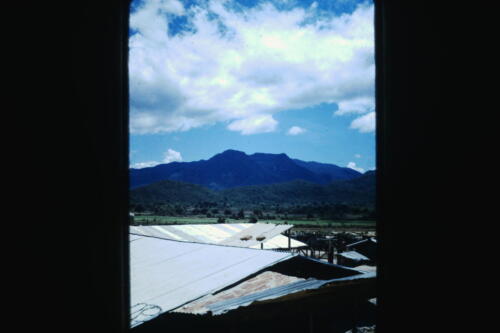 My beautiful picture