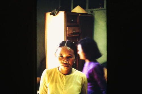 My beautiful picture